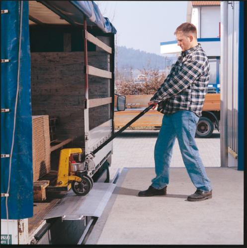Laadbrug met 4000 kg draagvermogen