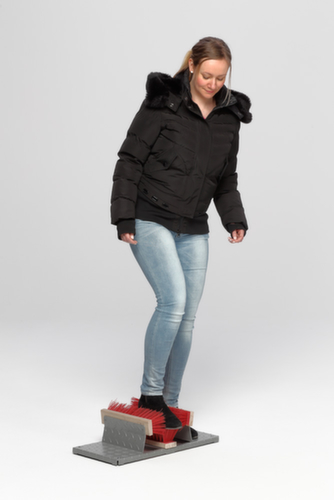 Schoenreiniger met borstelstrips, traanplaat, hoogte x breedte x diepte 170 x 590 x 290 mm