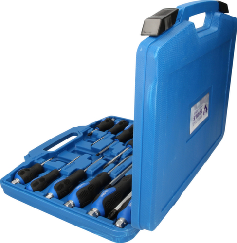 Schroevendraaierset met slagdop