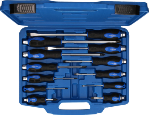 Schroevendraaierset met slagdop