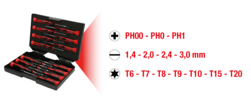 Fijnmechanische schroevendraaierset PH