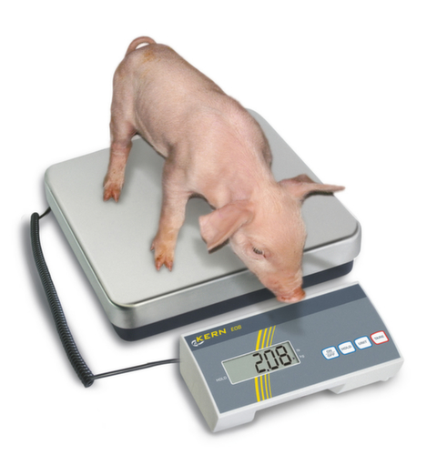 KERN Pakketweegschaal EOB 300K100A, weegbereik 300 kg