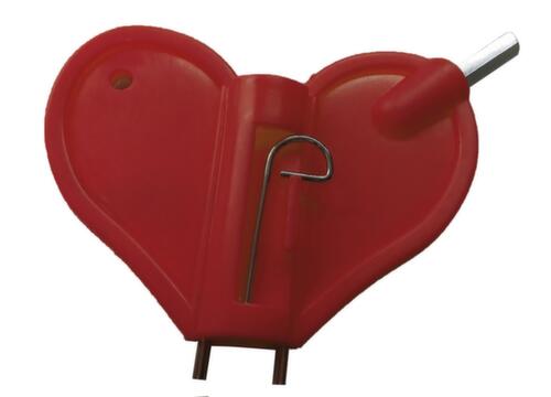 Schake Reservesleutel voor waarschuwingslamp