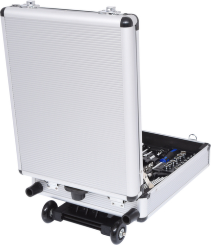 1/4"+1/2" CHROMEplus gereedschapsset