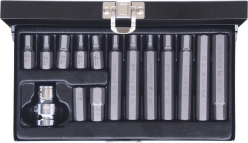 10mm bitset
