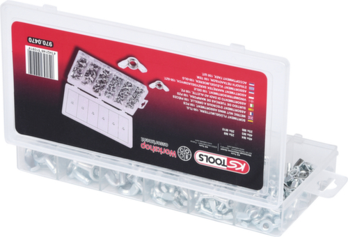 Assortiment vleugelmoeren