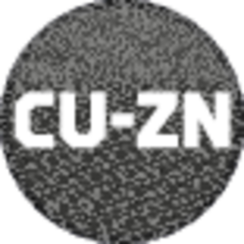 1100-243100 Handpijpenbuigerset 6-15mm in L-BOXX 136