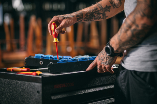 GEDORE RED R39200219 VDE schroevendraaier PH2 100 mm