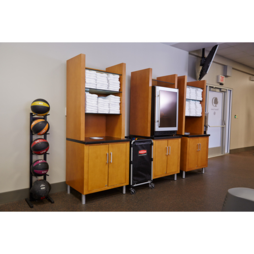 Rubbermaid Inklapbare wasgoedwagen X-Cart