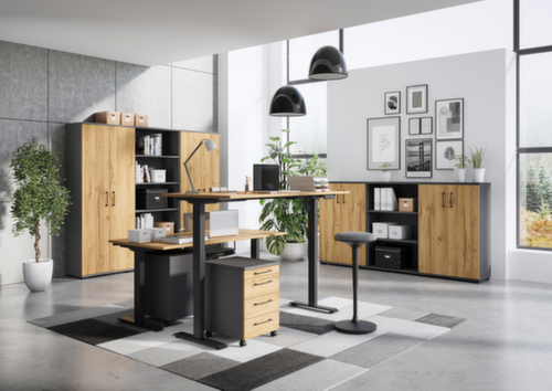 In hoogte verstelbaar bureau GW-PROFI 2.0