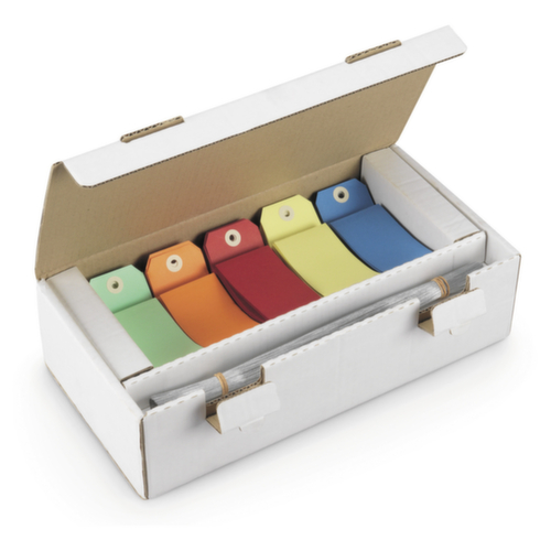 Assortiment gekleurde etiketten met metalen binders 125x63