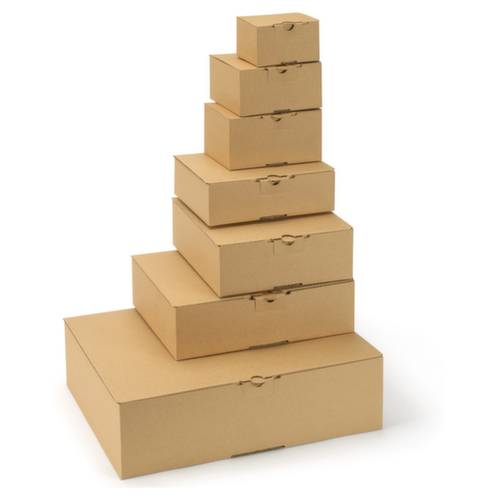 Postdoos met automatische bodem en bovenklep 25 x 15 x 10 cm