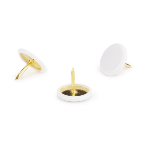 Platte punaise Wit Raja