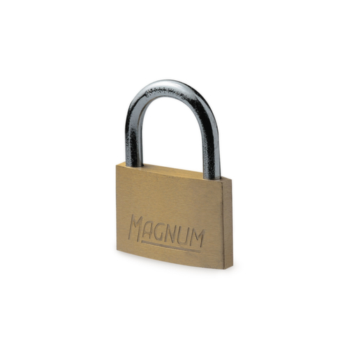 Hangslot van messing Master Lock