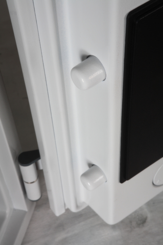 Phoenix Safe brandwerende kluis voor digitale media