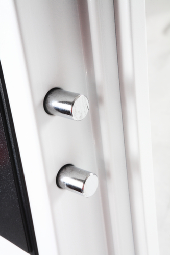 Phoenix Safe brandwerende kluis voor digitale media