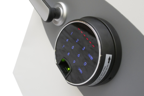 Phoenix Safe Brandwerende kluis Datacare