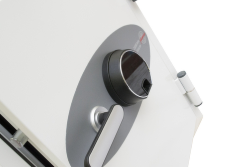 Phoenix Safe Brandwerende kluis Datacare