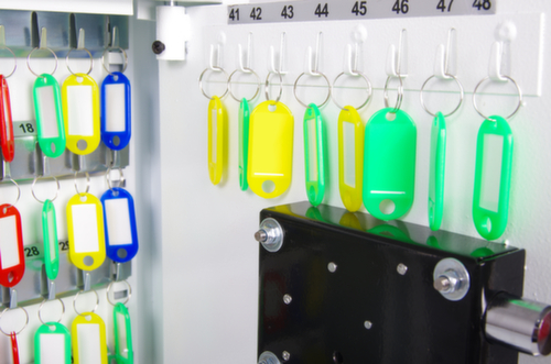 Phoenix Safe sleutelkast CYGNUS