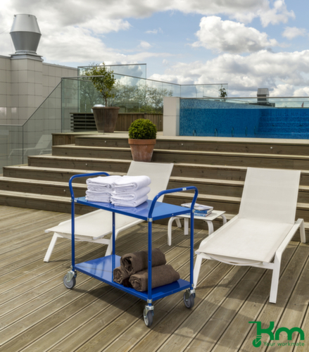 Kongamek Tafelwagen in kleur