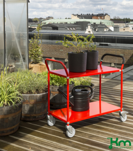 Kongamek Tafelwagen in kleur