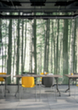 milieu_02 S