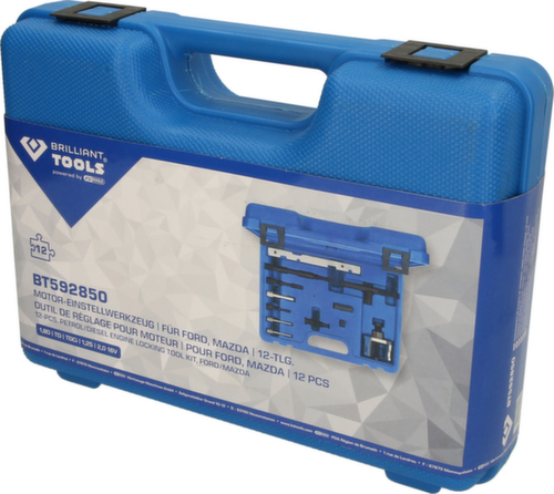 Motor afstelgereedschap voor Ford