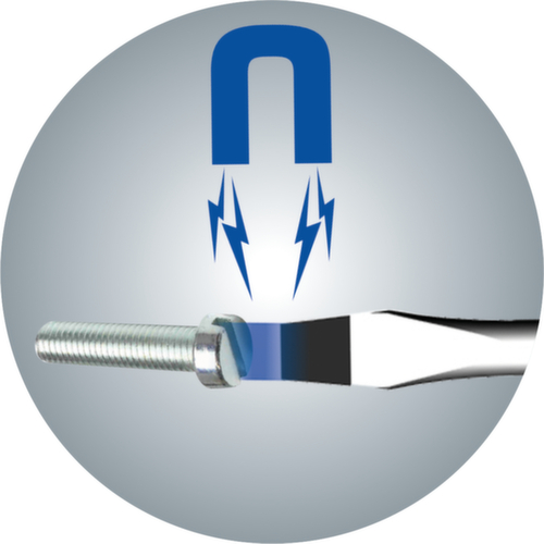 Schroevendraaierset met slagdop