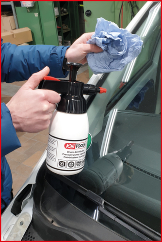 Pompspuitfles voor remmenreiniger