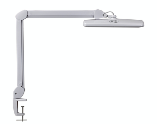 MAUL compacte LED-werkpleklamp MAULintro dimbaar, licht koudwit (daglichtwit), wit