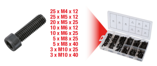 Assortiment binnenzeskantschroeven  L