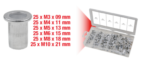 Assortiment klinknagels met schroefdraad  L