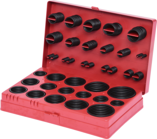 Assortiment O-ringen  L