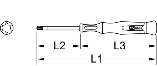 Precisie mechanisch schroevendraaier Torx  L