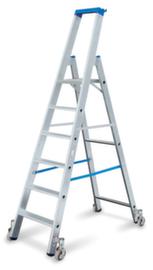 Krause Ladder op wielen