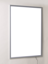 LED-lichtframe Economy