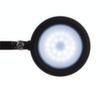 MAUL dimbare LED-bureaulamp MAULgrace colour vario, licht daglicht- tot warmwit, zilverkleurig  S