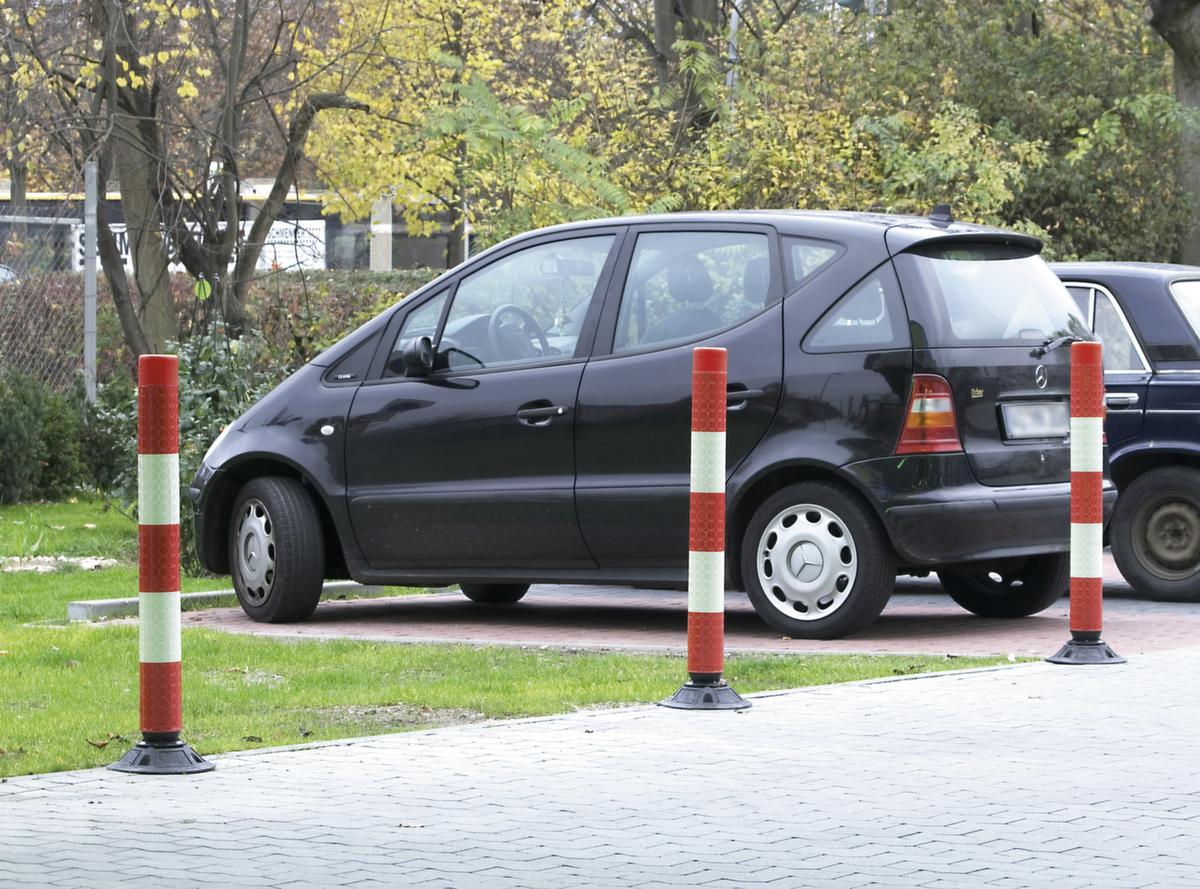 Moravia Zelfoprichtende afzetpaal FlexPin, hoogte 760 mm, zonder voet  ZOOM